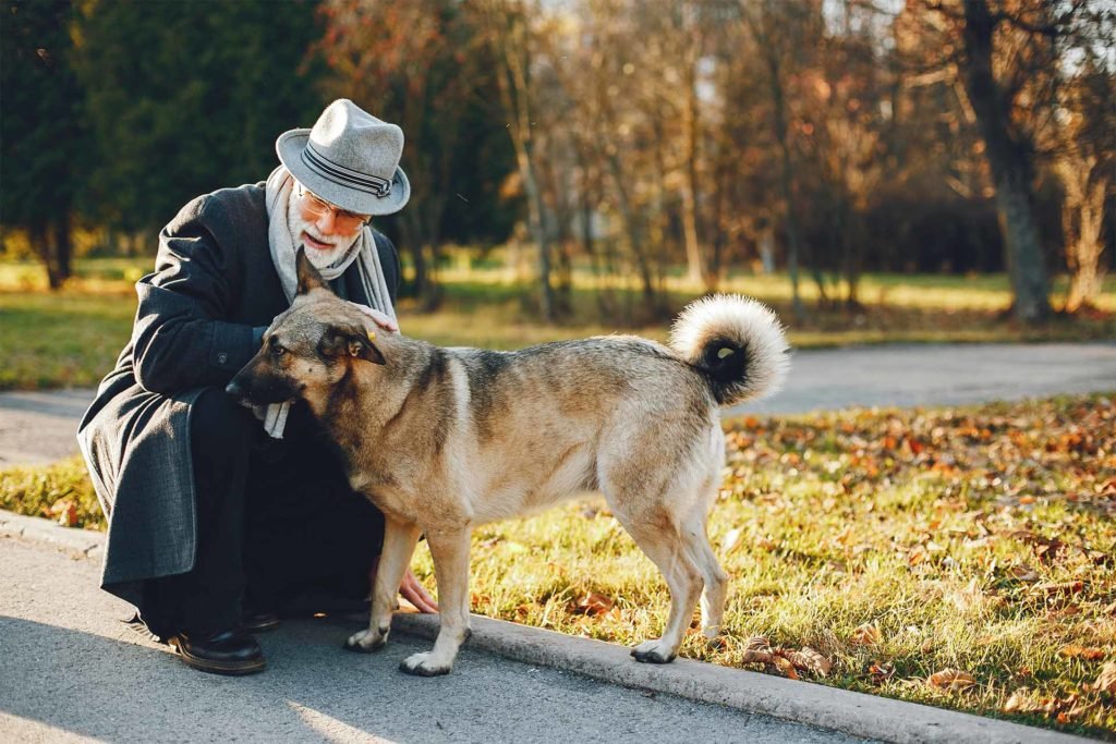 La convivenza tra anziani e animali domestici, un elisir per la salute. - Elelift Srl Montascale per Disabili e Anziani