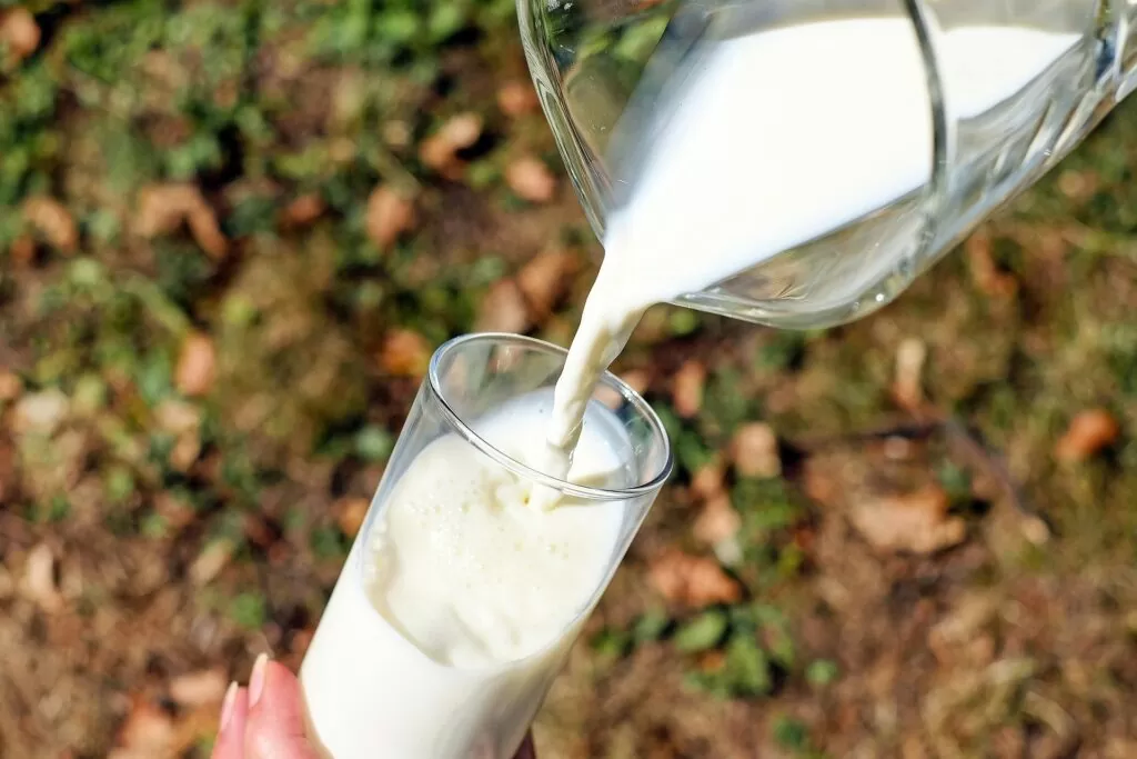 Latte e latticini per gli anziani